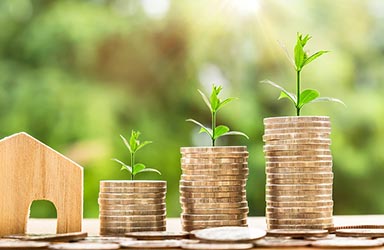 WEBgarten - Webdesign - Braunau | Drei aufsteigende Stapel aus Goldmünzen, aus denen grüne Pflanzen sprießen, symbolisieren das finanzielle Wachstum und den Erfolg durch eine professionelle Website.